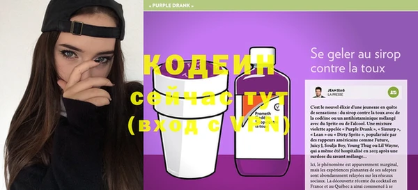 герыч Иннополис