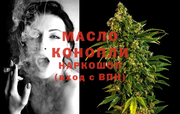 МДПВ Инсар