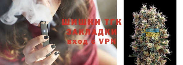 МДПВ Инсар
