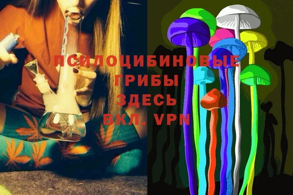 МДПВ Инсар