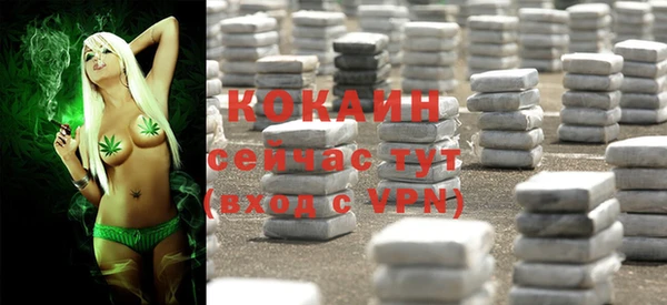 МДПВ Инсар