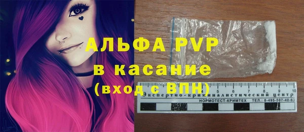 МДПВ Инсар