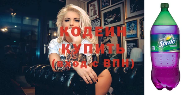 МДПВ Инсар